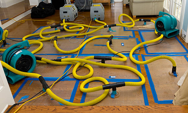 Professional Storm Water Damage Restoration technician working in East Hanover, NJ